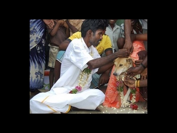 సోషల్ మీడియాలో ట్రెండింగ్ ఫోటోలు!