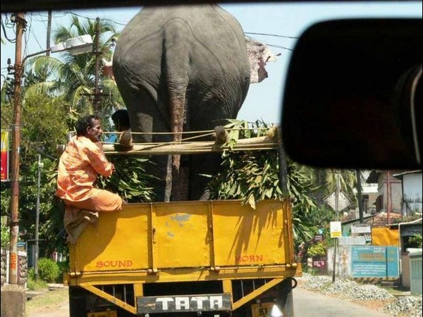 సోషల్ మీడియాలో వైరల్ చిత్రాలు!