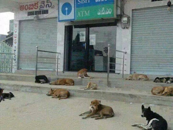 సోషల్ మీడియాలో చూడముచ్చటైన చిత్రాలు