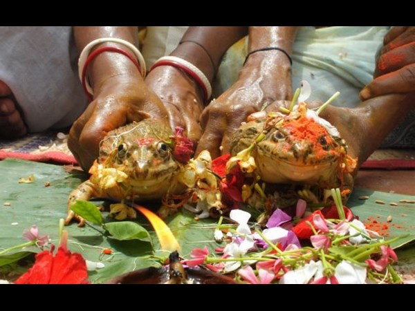 సోషల్ మీడియా@ విభిన్న ఫోటోల వేదిక