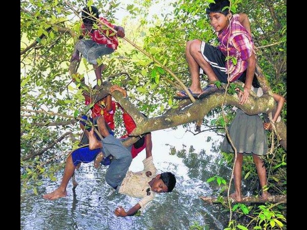 ఫన్నీ సోషల్ మీడియా