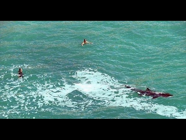 సోషల్ మీడియాలో ‘కిక్కే కిక్కు'