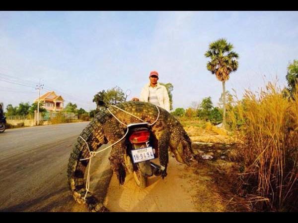 సోషల్ మీడియాలో విచిత్ర ఫోటోలు!