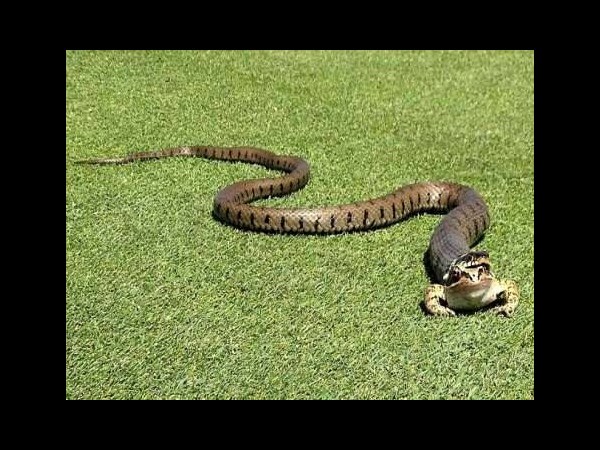 ఏం టైమింగ్ గురూ!!