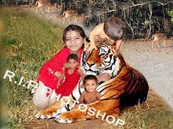 ఫోటోగ్రఫీ కనికట్టు మాయ!!