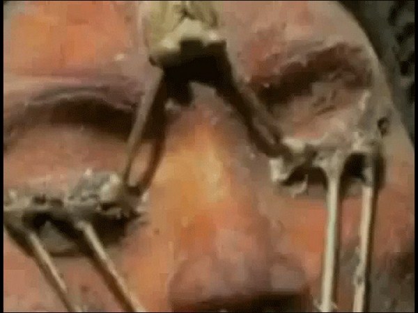 గ్రహాంతర గుట్టు..?