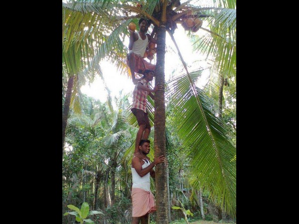 ఎటు చూసినా వింతలే...?
