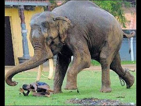 మృత్యువు విరుచుకుపడిన వేళ!!