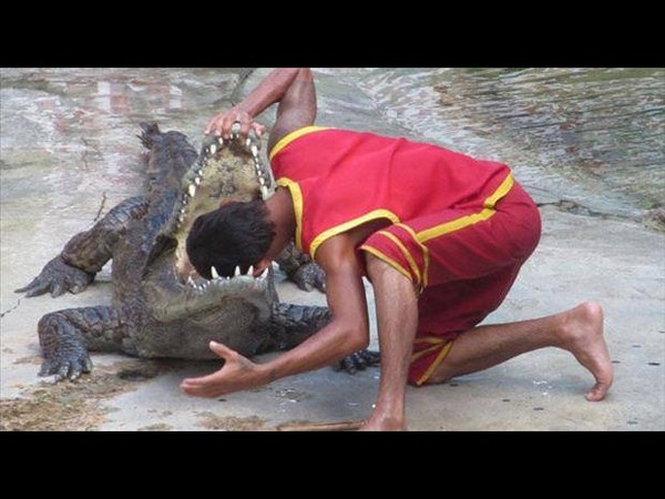 చావుతో చెలగాటం!!