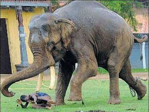 మోస్ట్ థ్రిల్లింగ్ ఫోటోలు!
