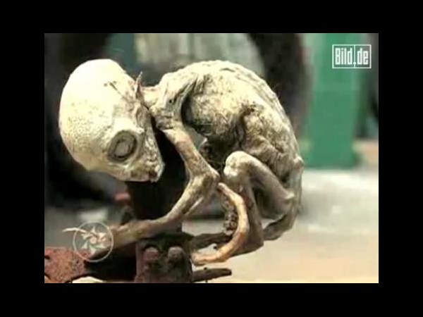 ఇంటర్నెట్లో హల్చల్ చేస్తోన్న పలు అనుమానాస్పద ఏలియన్ చిత్రాలు..?