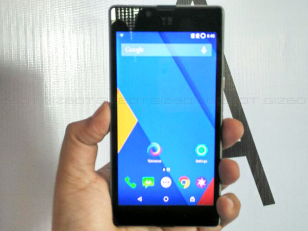Yuphoria