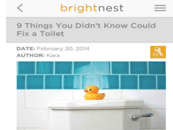 బ్రైట్నెస్ట్ (BrightNest)