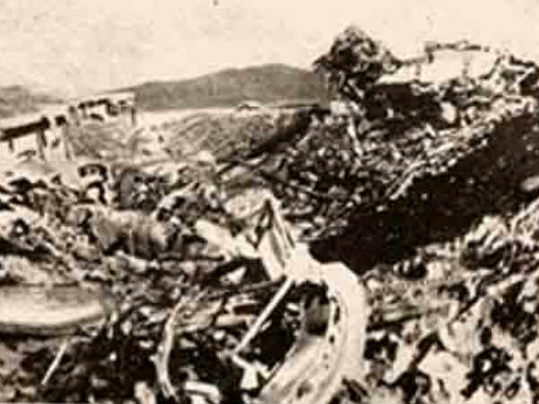 బోస్తో పాటు విమానప్రమాదంలో