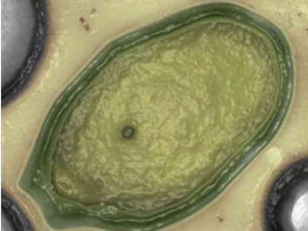 19.