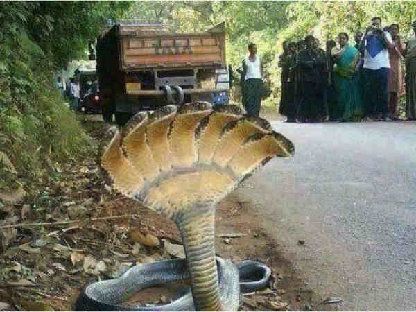 ఇంటర్నెట్ని వణికించిన ఈ ఫోటోలు నిజమైనవేనా..?