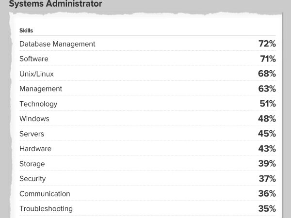 systems administrator