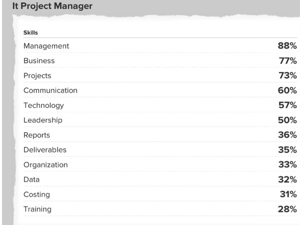 IT Project Manager