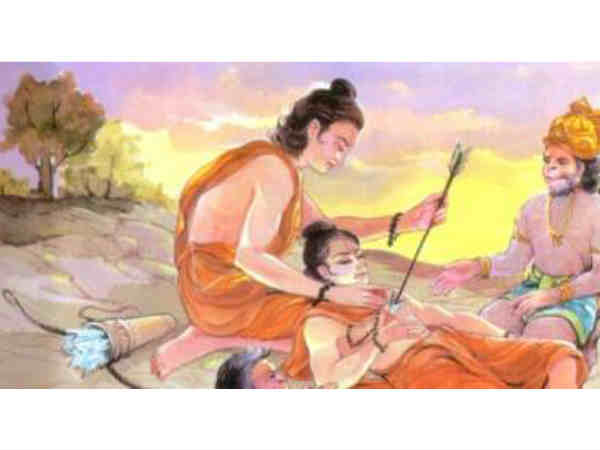 ప్రాణాలు పోసే సంజీవని కోసం హిమాలయాల్లో వేట