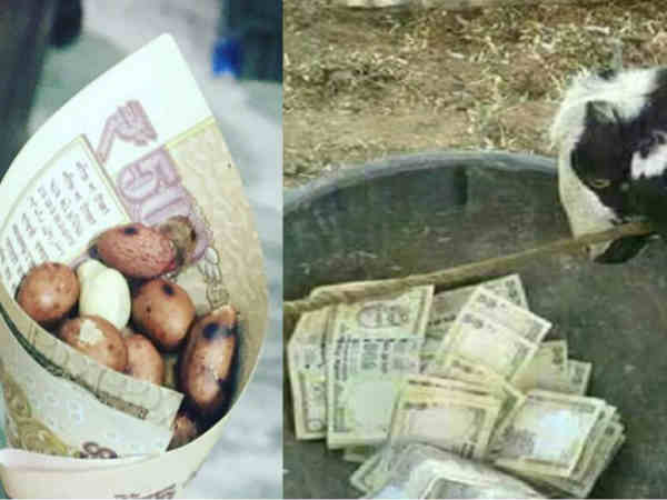 పశువులకు దాణాకి కూడా పనికిరాదని ట్వీట్