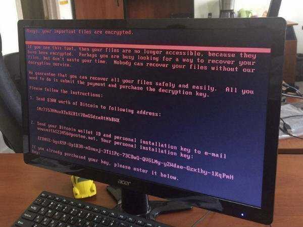 పెట్యా (Petya)