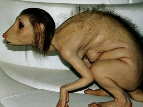 Patricia Piccinini గీసిన చిత్రం