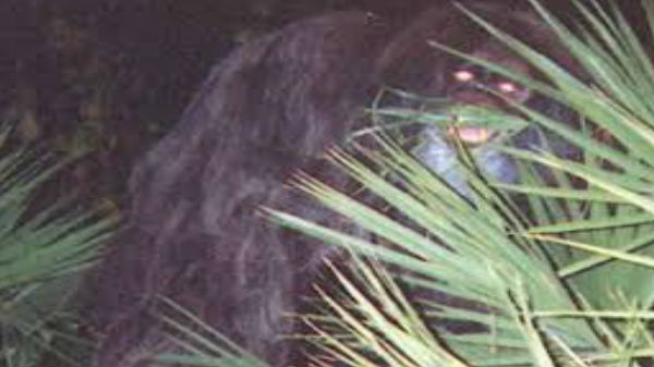 Skunk Ape Creature :