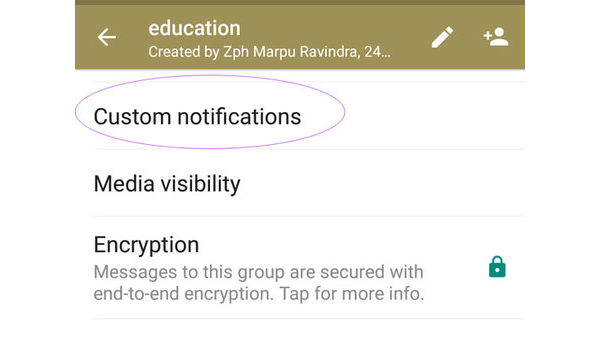 కస్టమ్ నోటిఫికేషన్