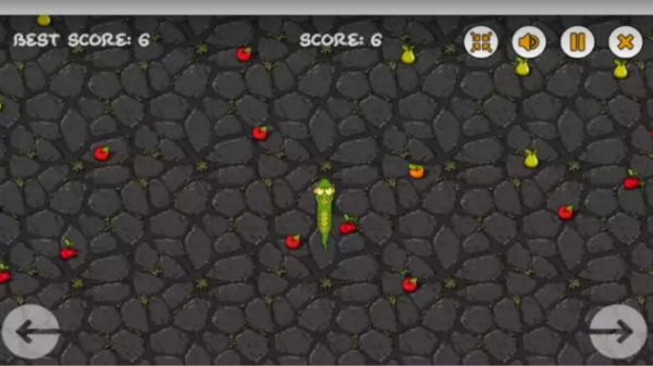 Snake Attack