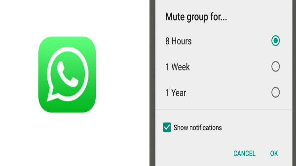 Mute Notifications