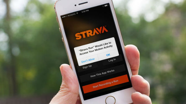 స్ట్రేవ (Strava )