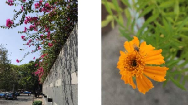 వెనుక భాగంలో 48 మెగాపిక్సల్ భారీ కెపాసిటీ