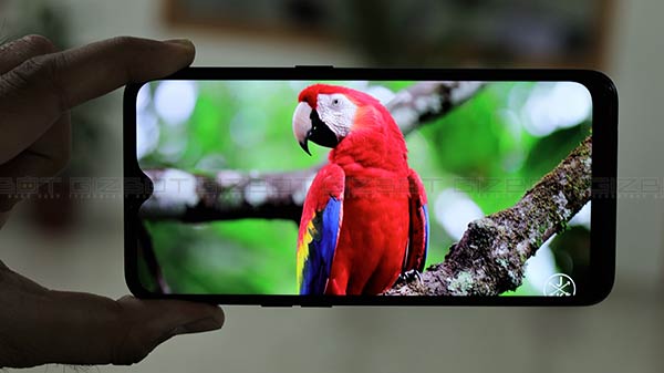 6.2-inch HD+ Waterdrop Display