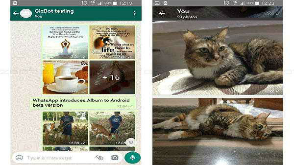 Albums for web