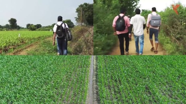 పంట బీమాలో డేటా సేకరణ కోసం