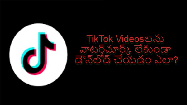 టిక్టాక్ వీడియో