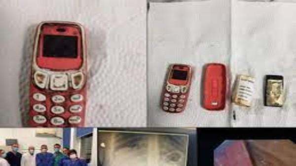 నోకియా 3310