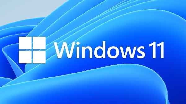 Windows 11 యొక్క ప్రత్యేక version